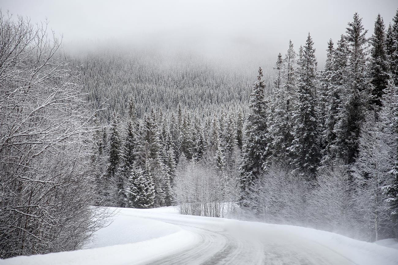 Snow covered road