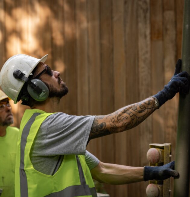 Dandelion Named in Inc. 5000